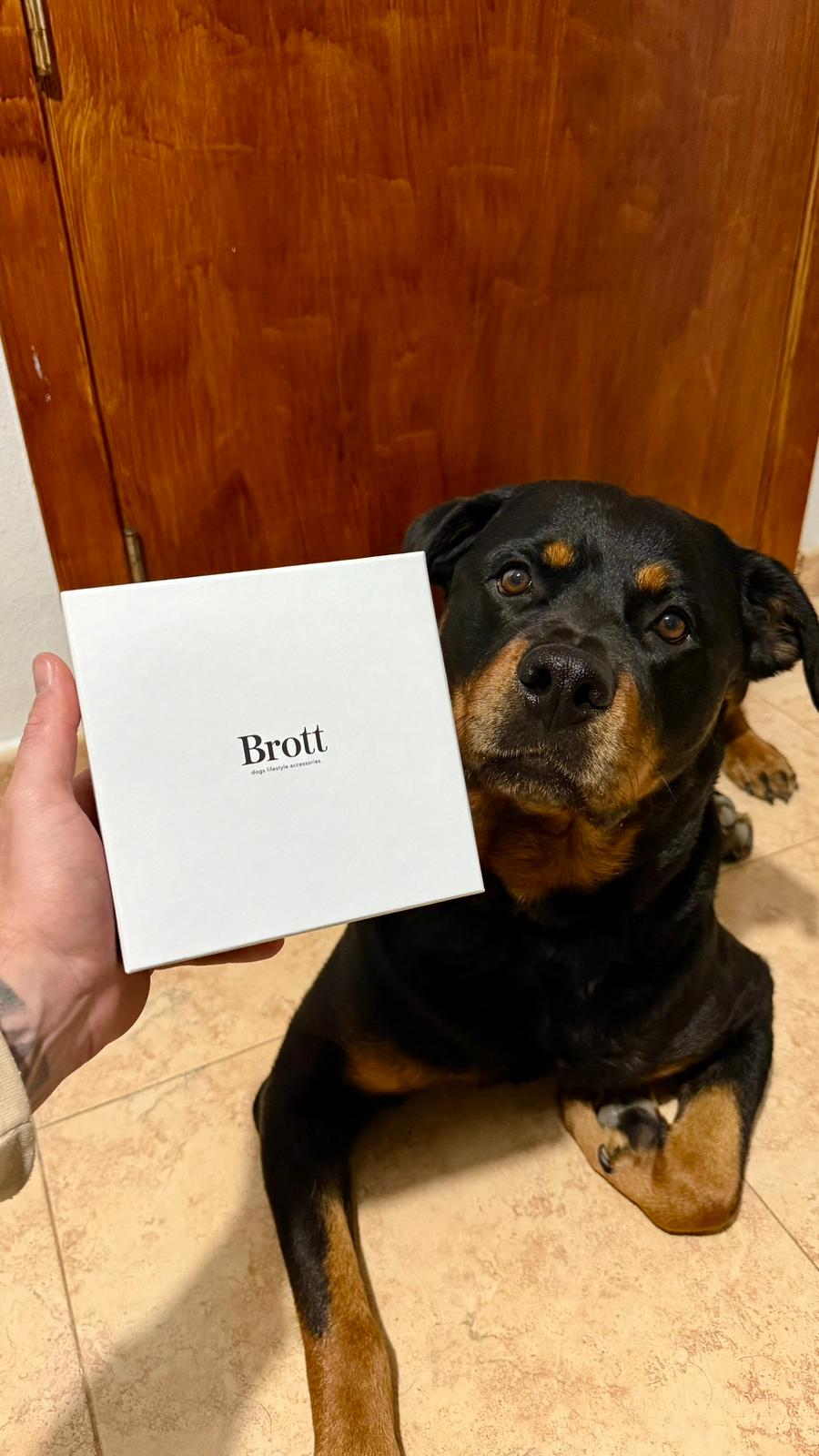 Maya con Brott Dog