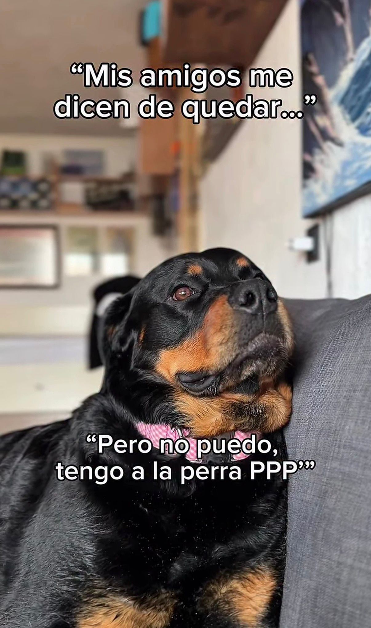 Mis amigos me dicen de quedar